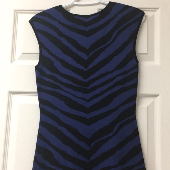 Blue and Black Striped Dress - Picture 3 of 3
